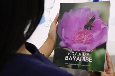 ¡Aquí puedes encontrar la Guía de Reconocimiento de la Rosa de Bayahíbe!
