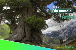 ¿Qué se celebra el 29 de abril?