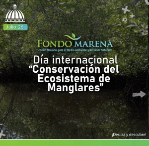 D&iacute;a internacional Conservaci&oacute;n del Ecosistema y Manglares