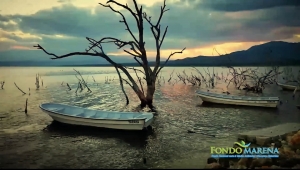 Manuel Matos - Director T&eacute;cnico del Fondo Nacional para el Medio Ambiente y Recursos Naturales (Fondo MARENA) desde el lago Enriquillo.